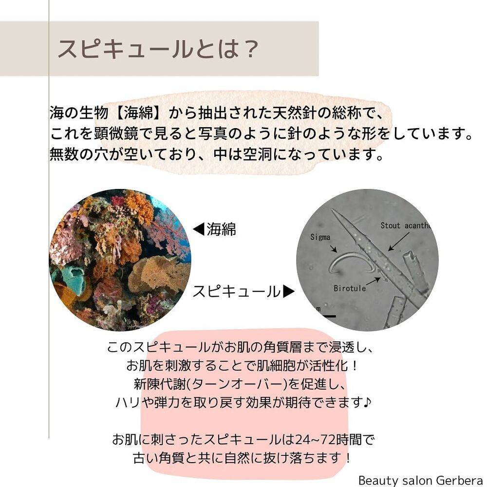 画像1267