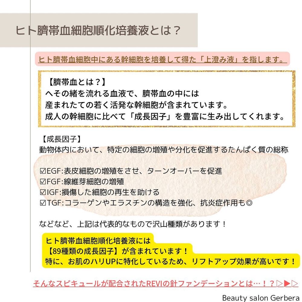 画像1269
