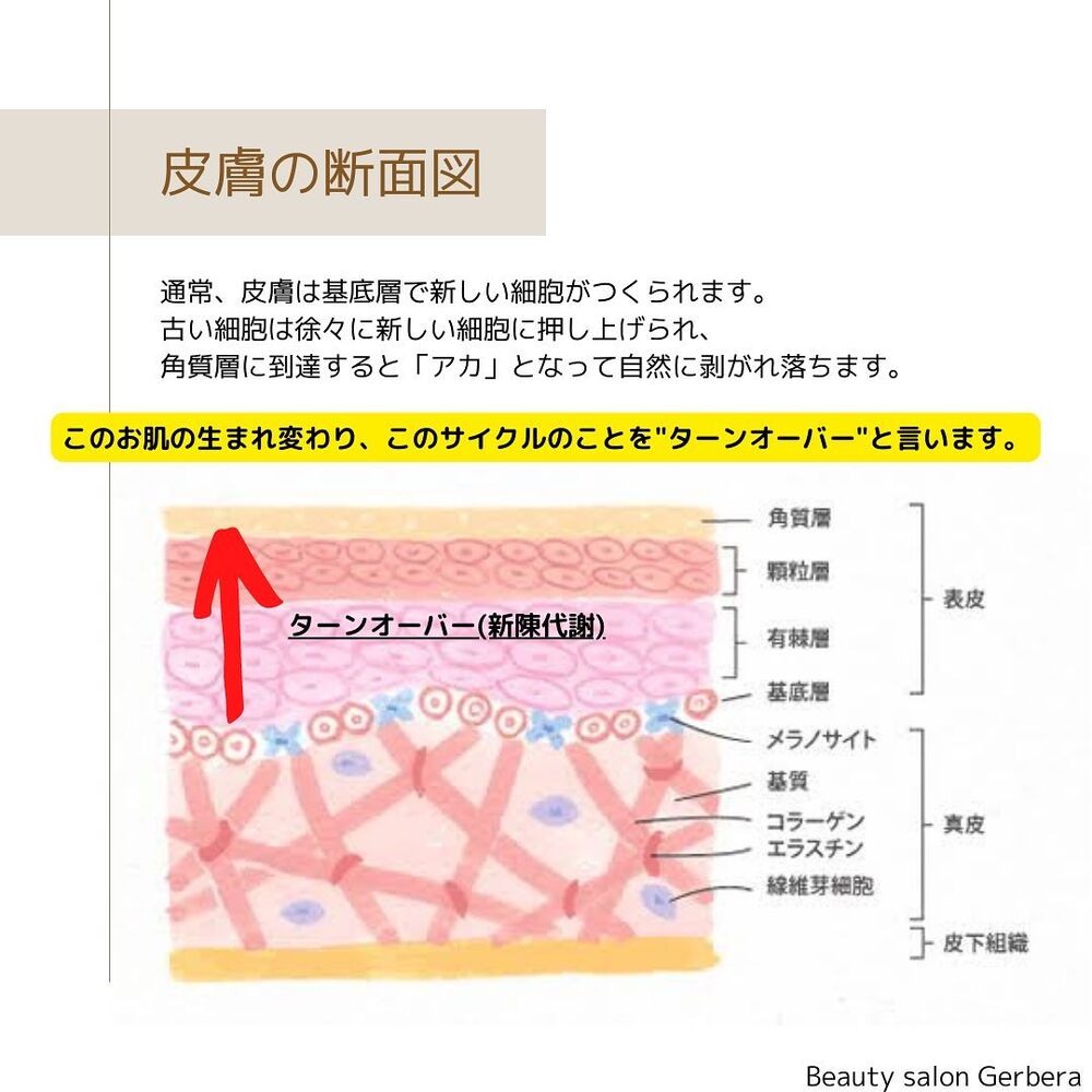 画像1359
