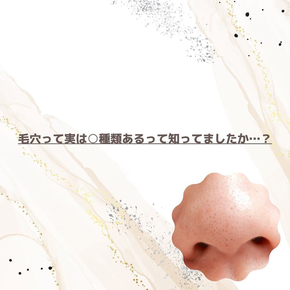 画像1395