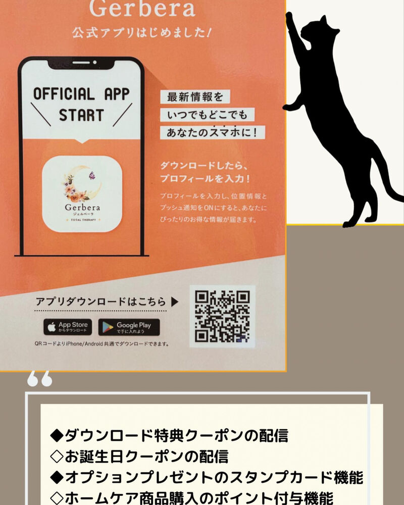 画像1462