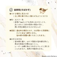 画像1515