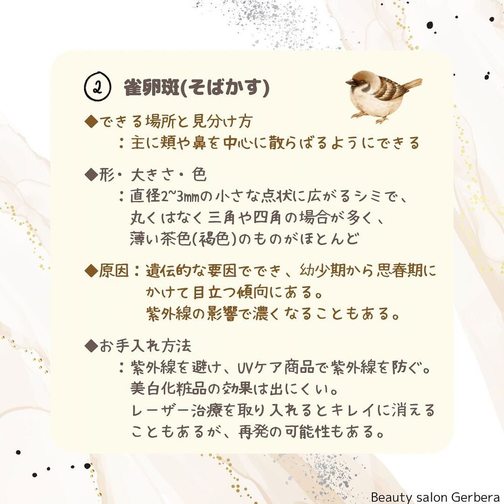 画像1515
