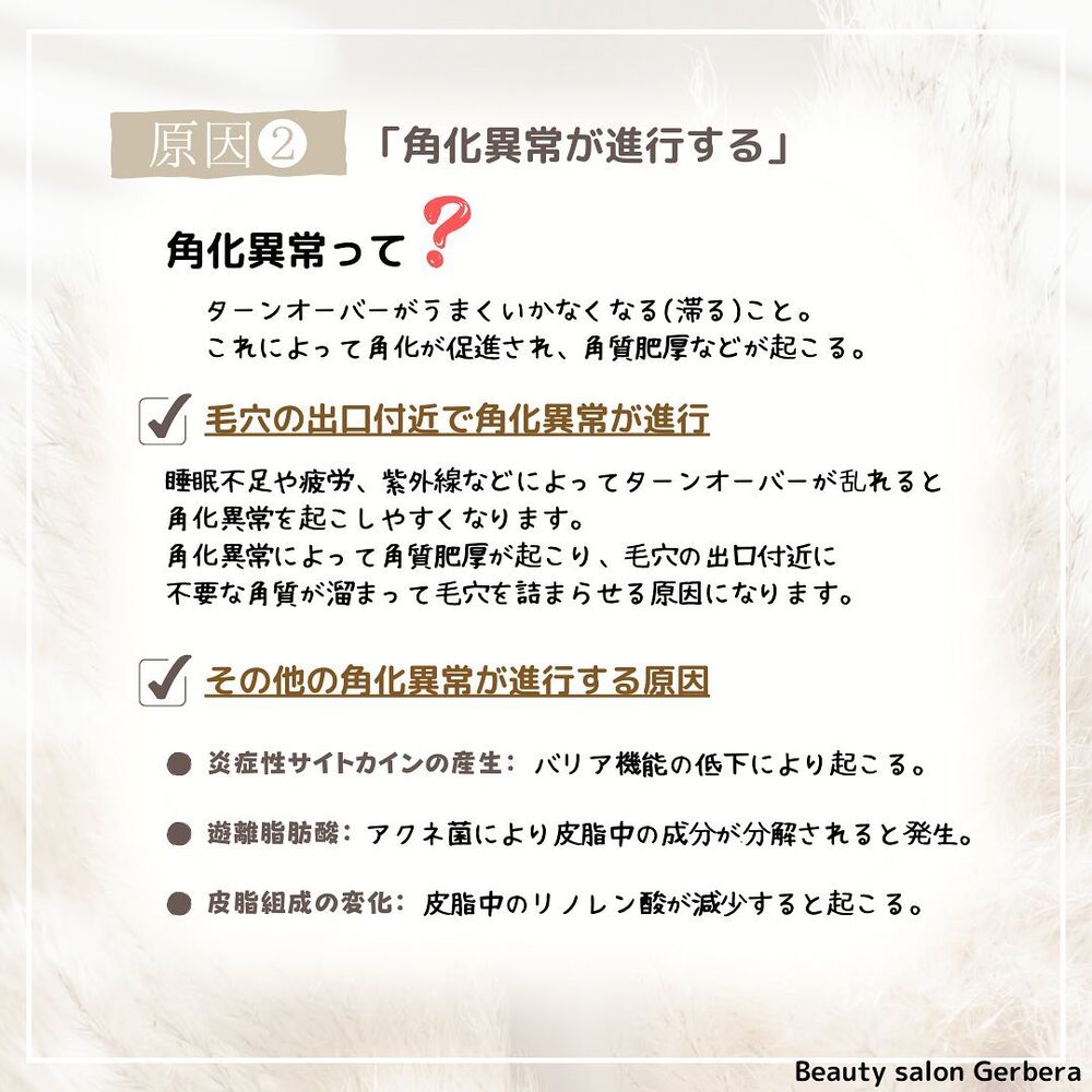 画像1542