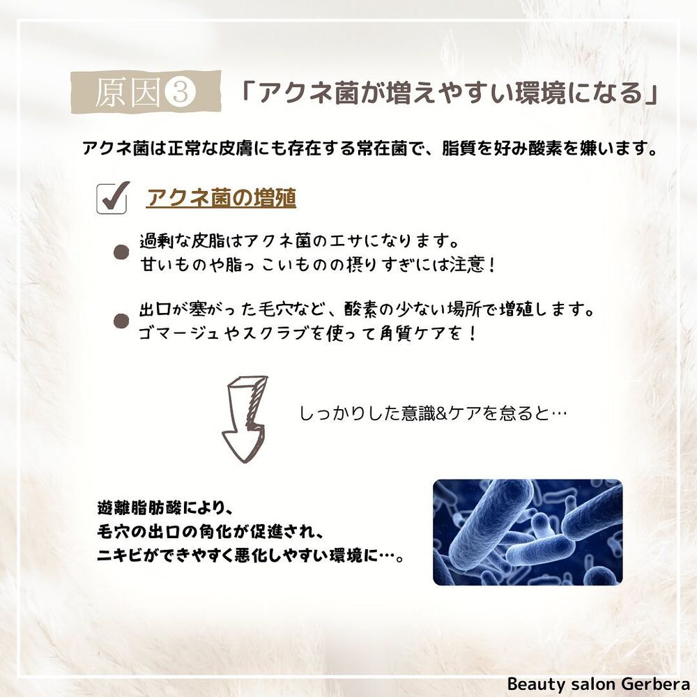 画像1543
