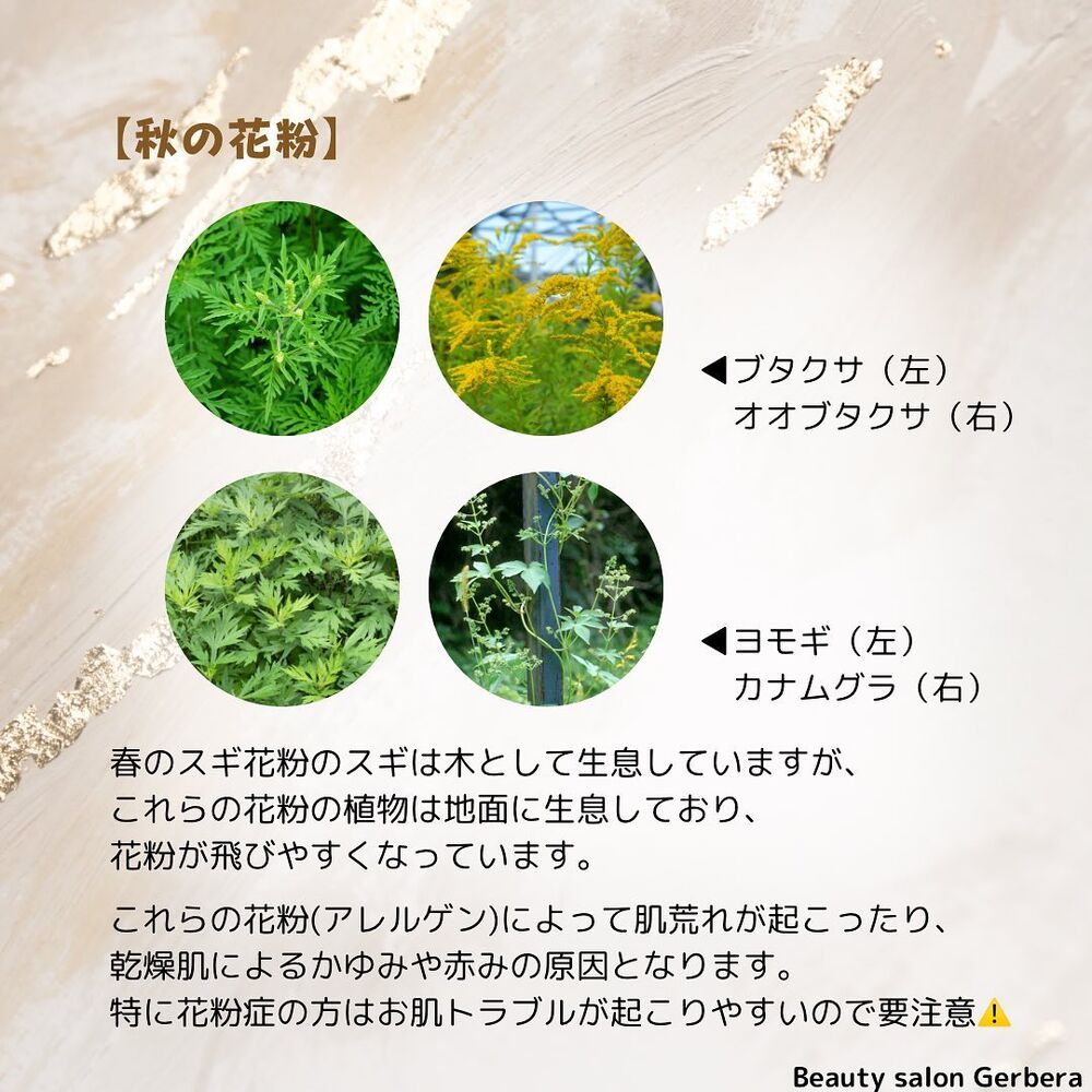 画像1636