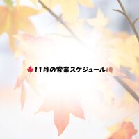 画像1641