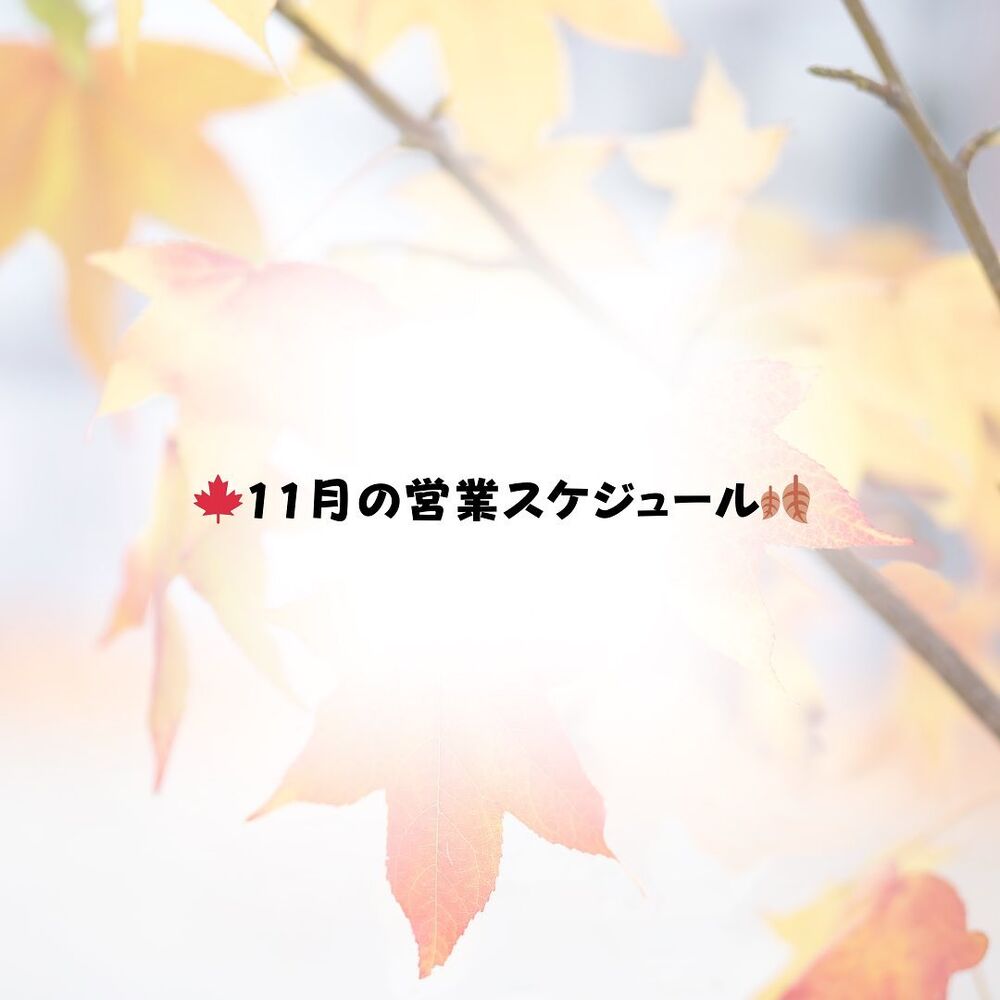 画像1645