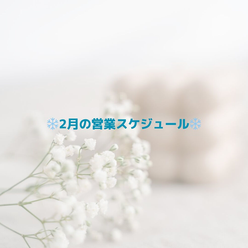 画像1693